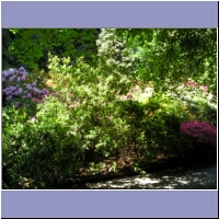 pfingsten2004 081.jpg
